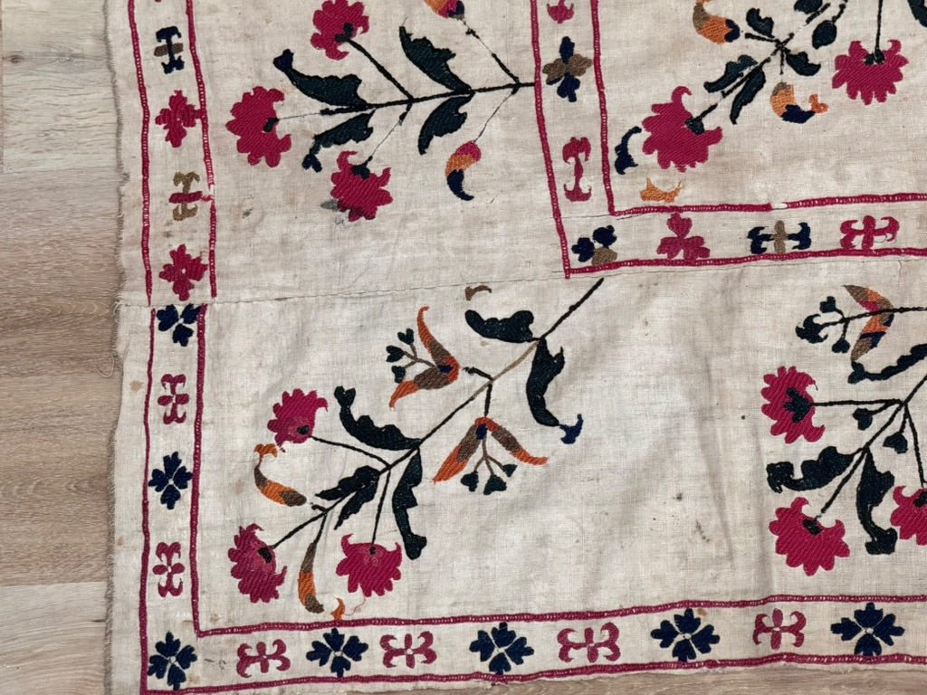 An Uzbek Suzani, Nurata Region, c. 1850 - Helen Storey Antiques