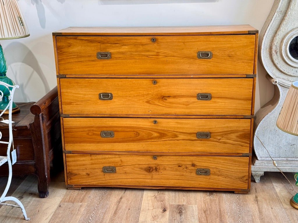 Campaign chest in camphorwood, Anglo - Indian, mid - 19th century - Helen Storey Antiques